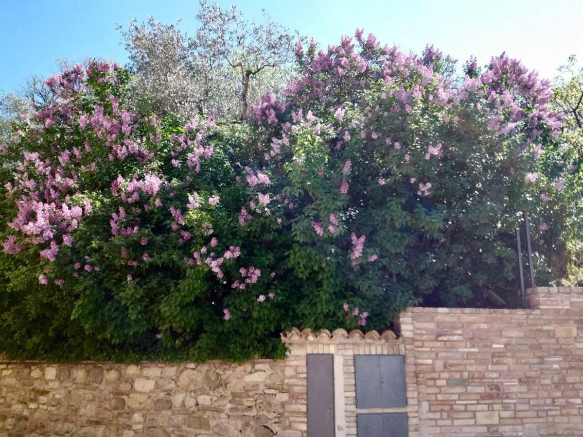 Lavanda E Rosmarino Home Ассизи Экстерьер фото